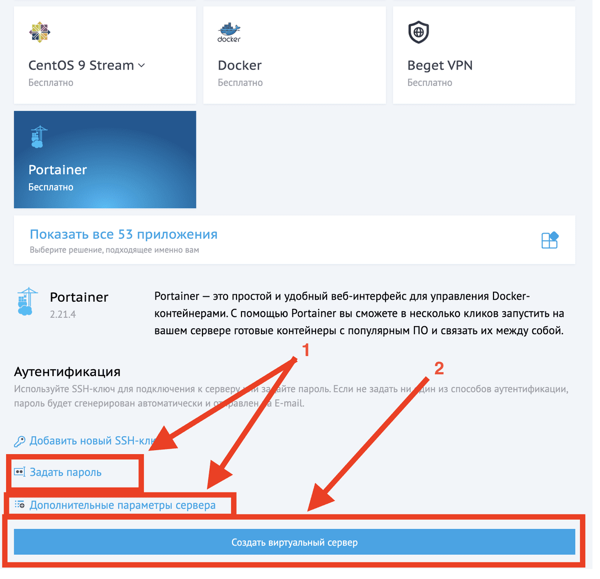 Задайте пароль, имя сервера и далее нажмите "Создать виртуальный сервер"